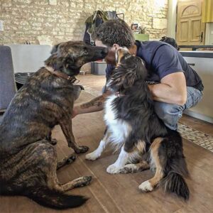 tendresse canine